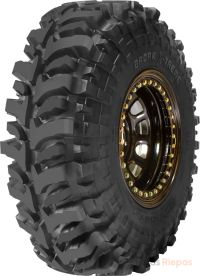 Accelera Badak X-treme 10/31 R15 110Q