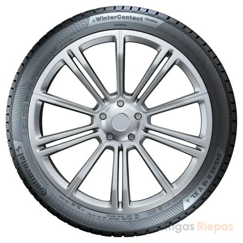 Continental WinterContact TS850 P 205/60 R16 92H - 3