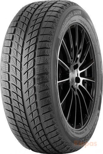 Doublestar DW09 245/40 R18 93H