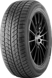 Doublestar DW09 245/40 R18 93H