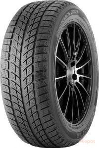 Doublestar DW09 245/40 R18 93H