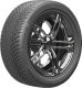 Greentrac Winter Master D1 215/55 R17 98V - 1