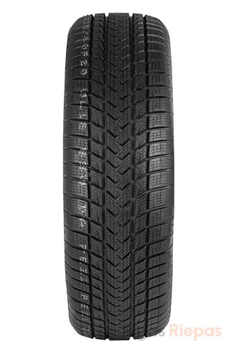 Gripmax SureGrip eWinter 205/40 R17 84V - 2