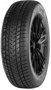 Gripmax SureGrip Pro Winter 275/30 R19 96V