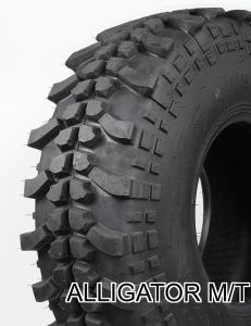 Alligator