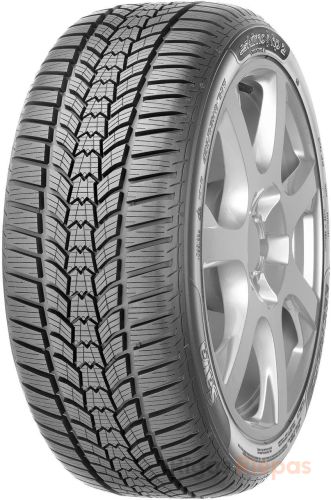 Sava Eskimo HP2 205/55 R16 91H